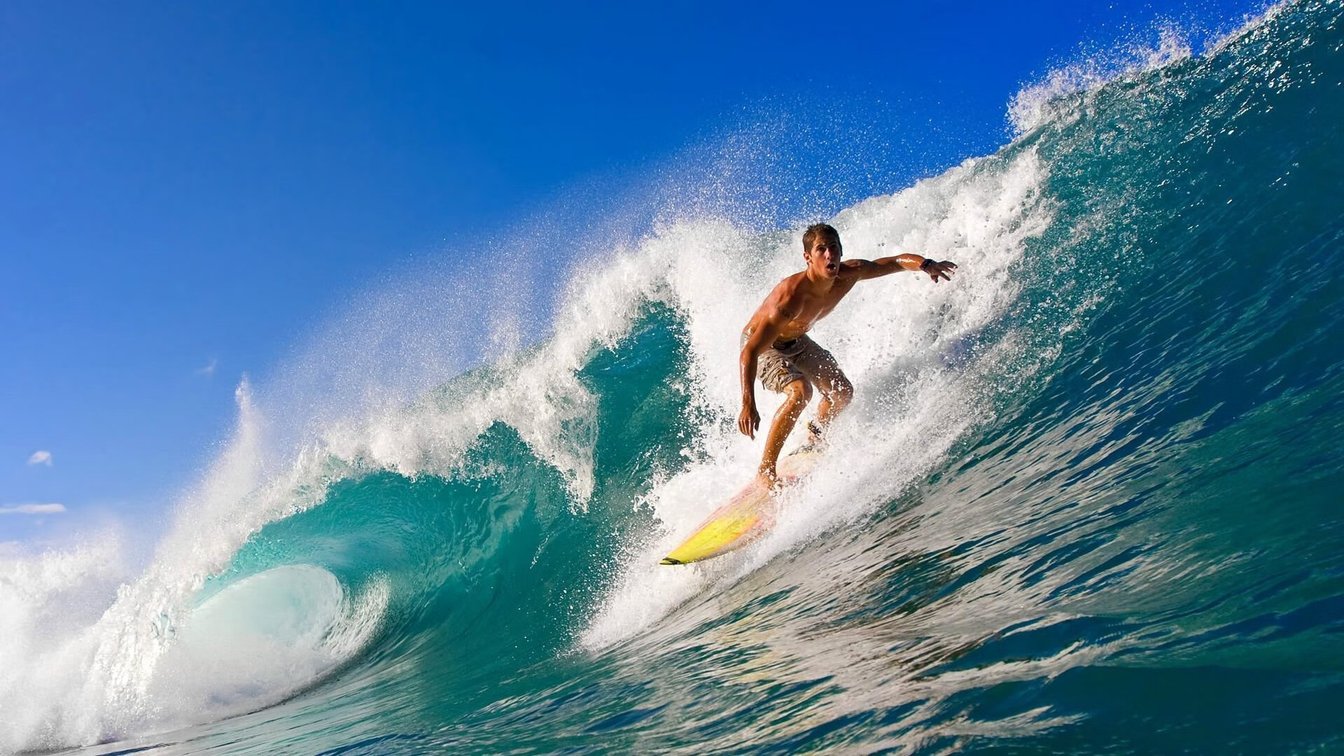 _职业巡回赛新赛季:精彩纷呈,期待已久_,巡回赛点数